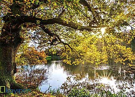 ÇEVREYİ KORUMANIN YOLLARI